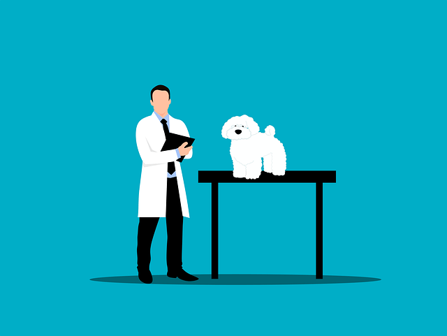 illustration of pet healthcare check from the doctor