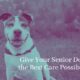 Give your senior dog the best care possible