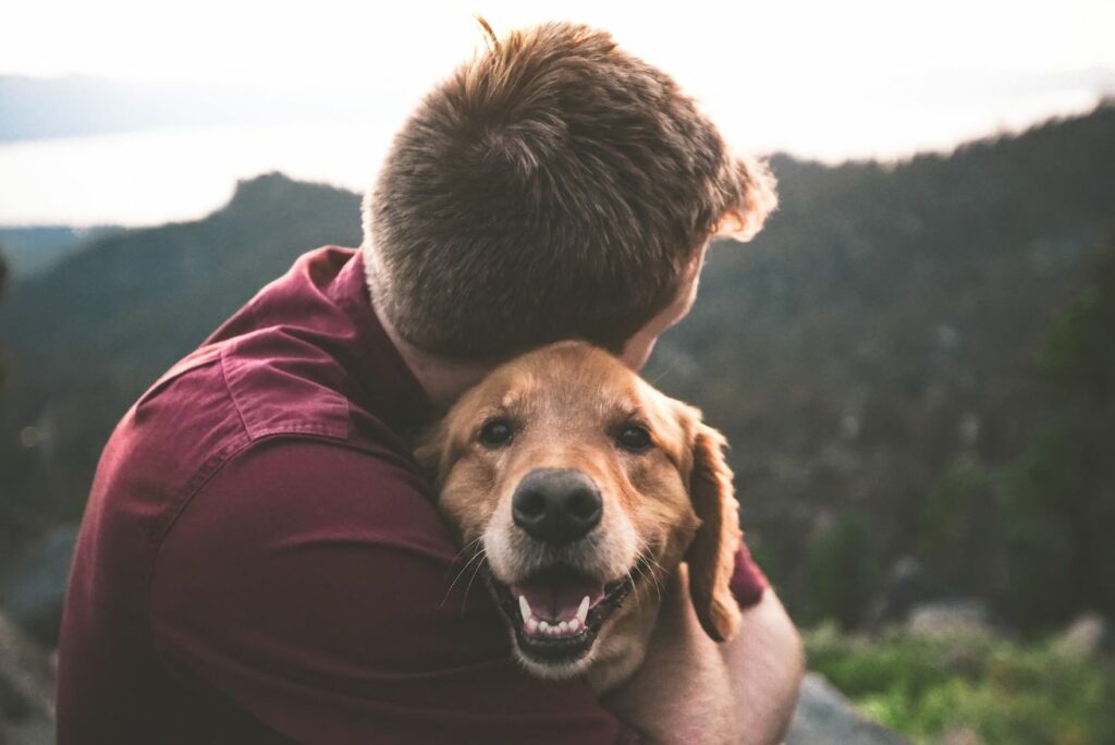 Man hugging ageing canine