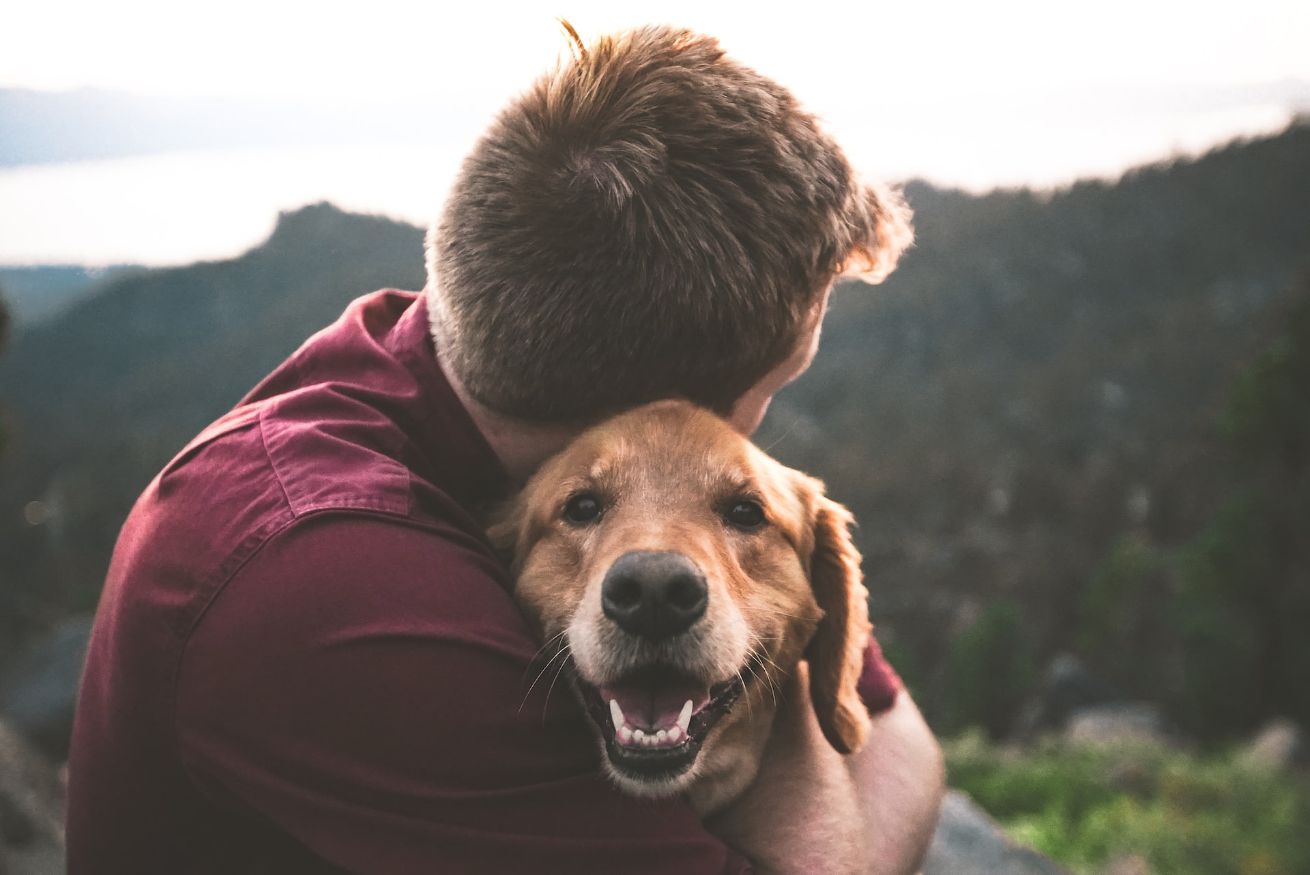 Dog Care - Rossmore Vet Hospital