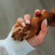 human holding a dog paw