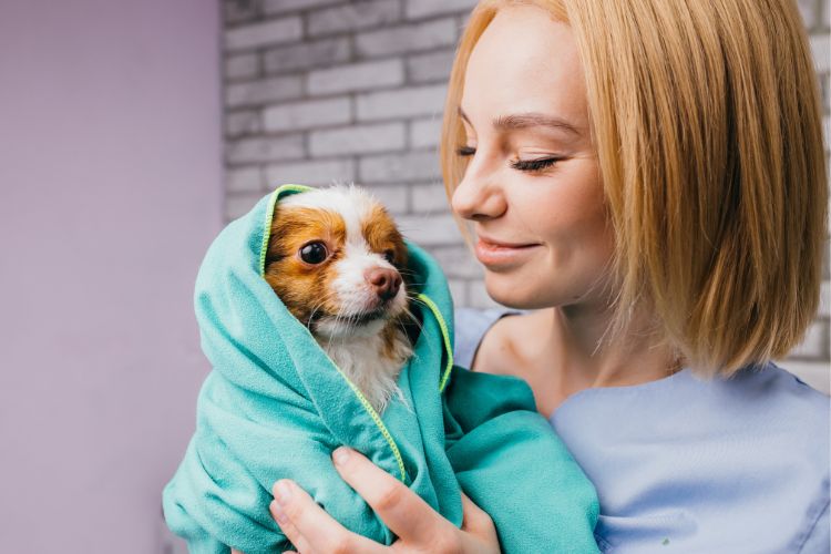 Woman holding her dog in a blanket